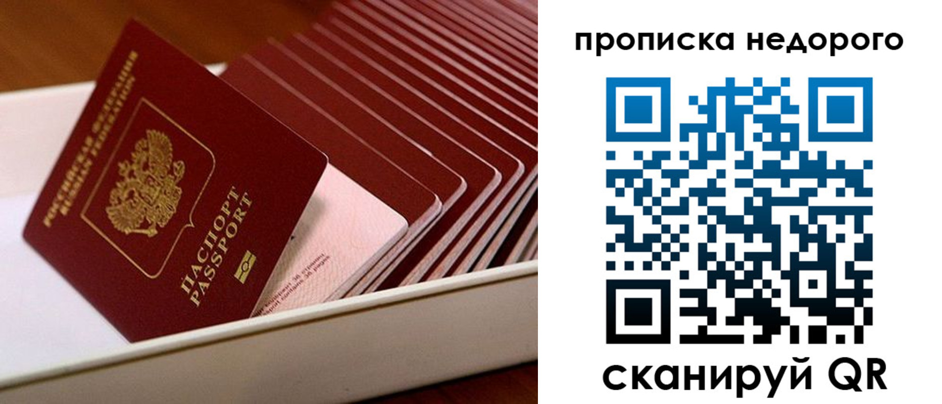 прописка паспорт в Кургане